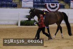 25R1516_00264 thumbnail