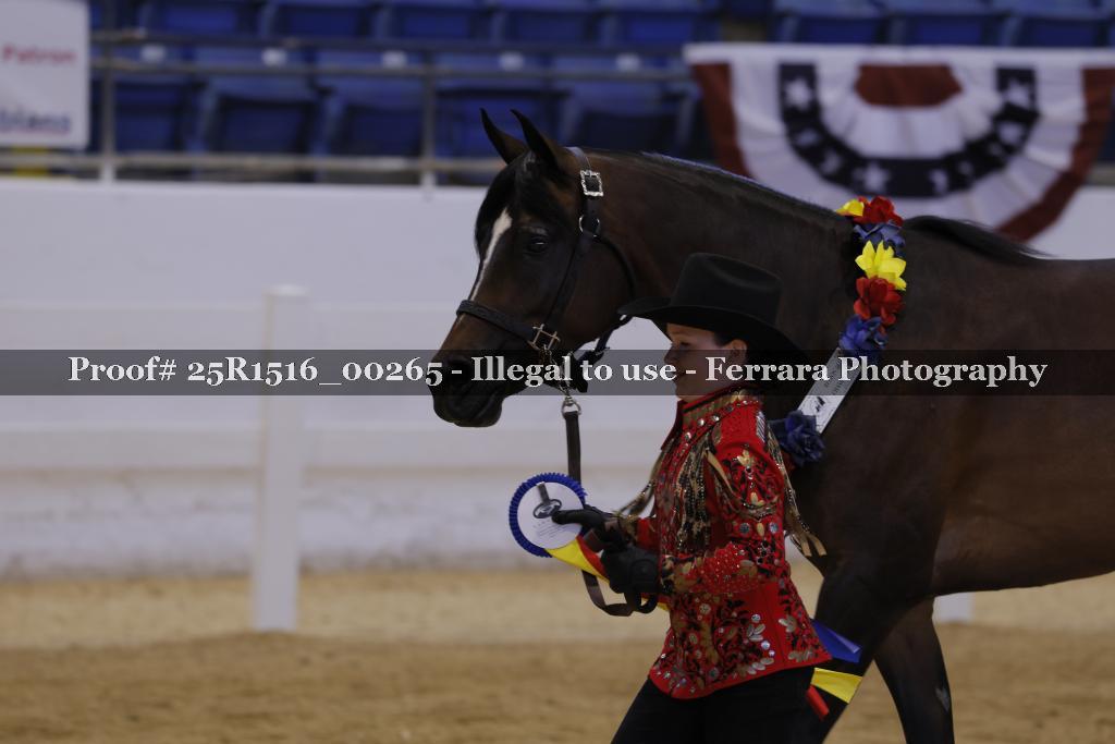 Proof Number 25R1516_00265