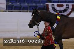 25R1516_00265 thumbnail