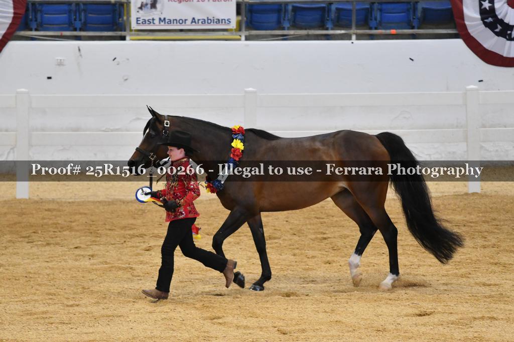 Proof Number 25R1516_00266
