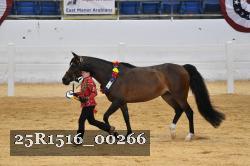 25R1516_00266 thumbnail