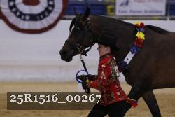 25R1516_00267 thumbnail