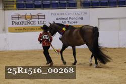25R1516_00268 thumbnail