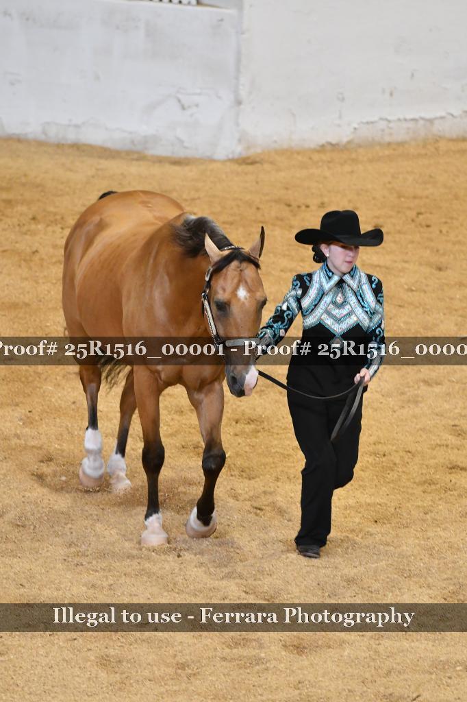Proof Number 25R1516_00001