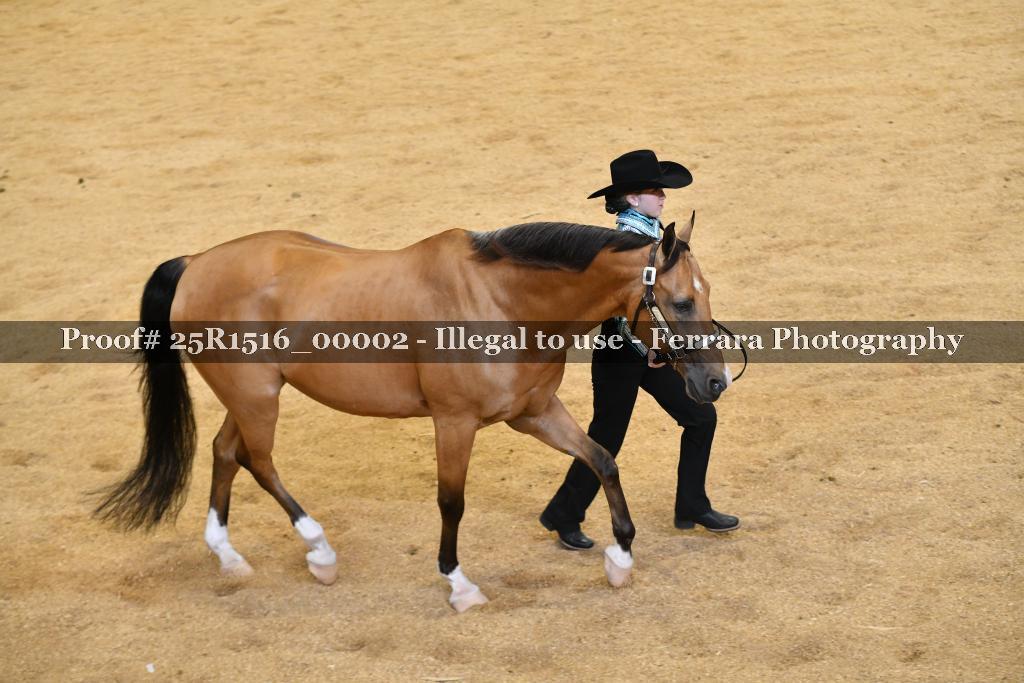 Proof Number 25R1516_00002