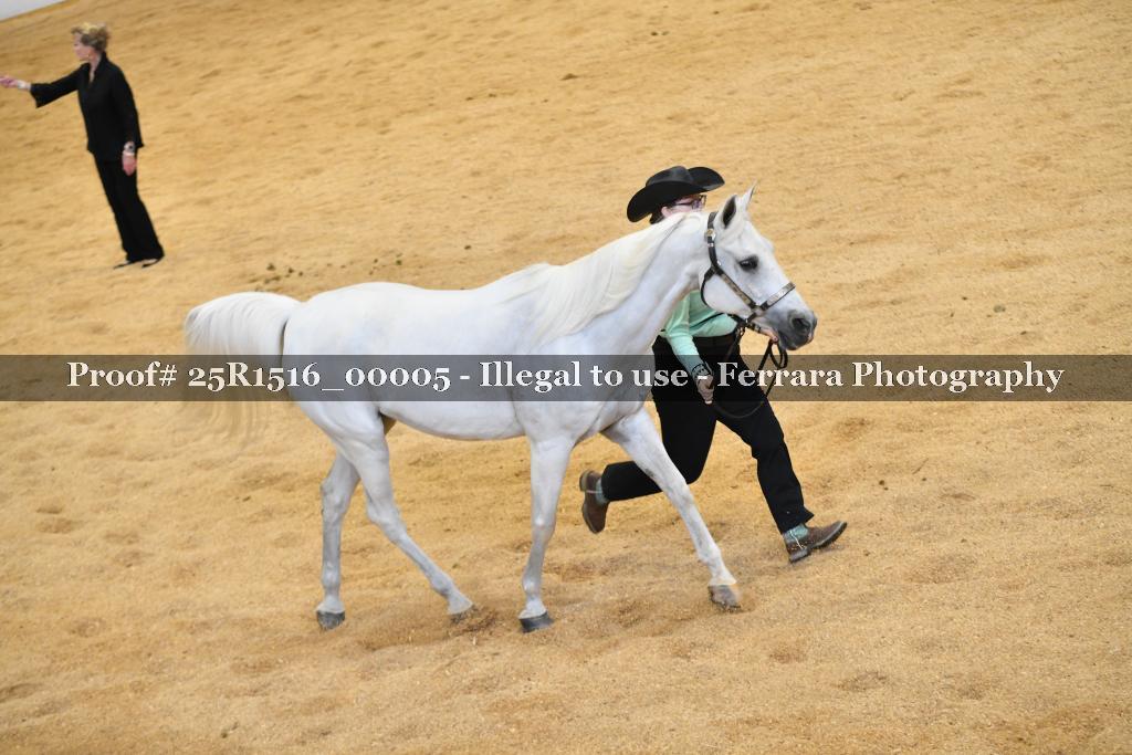 Proof Number 25R1516_00005