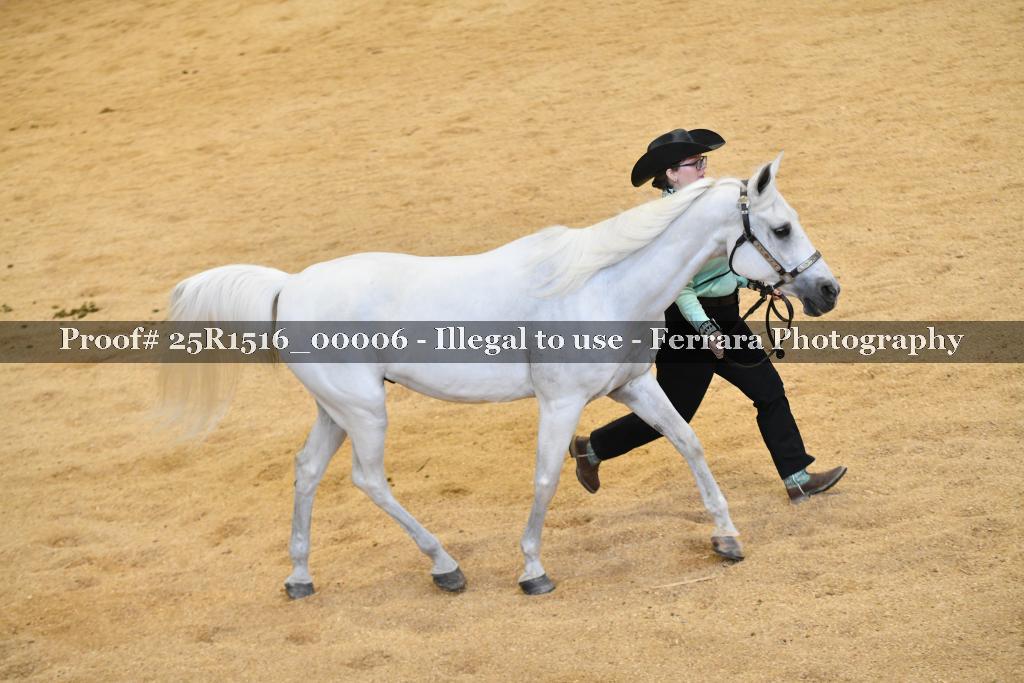 Proof Number 25R1516_00006