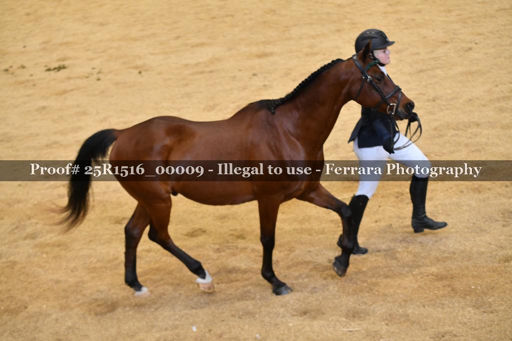 Proof Number 25R1516_00009