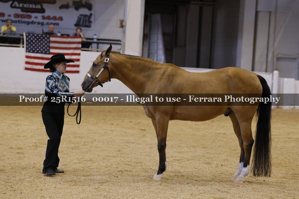 Proof Number 25R1516_00017