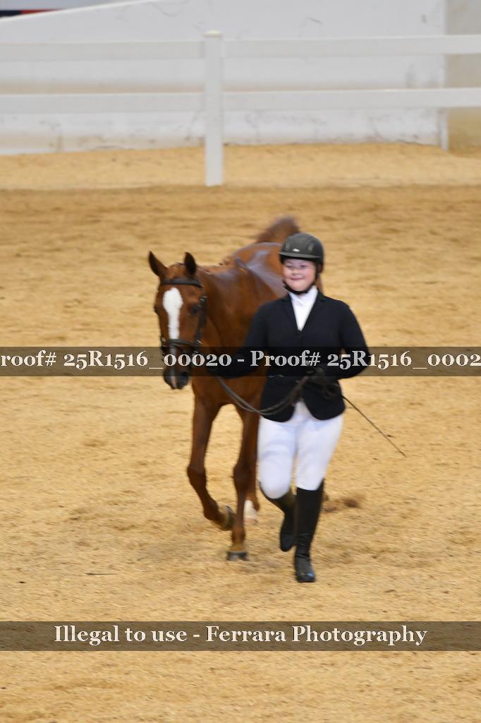 Proof Number 25R1516_00020