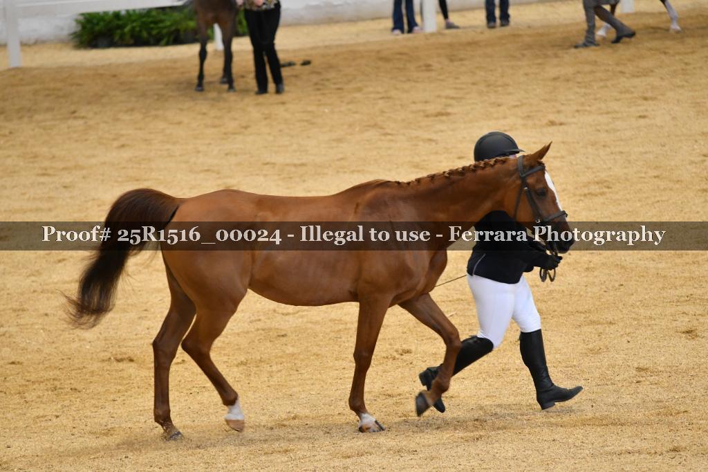 Proof Number 25R1516_00024