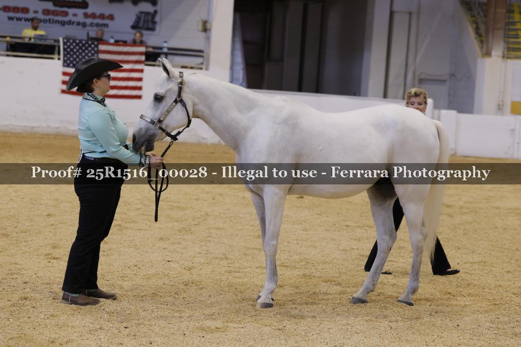 Proof Number 25R1516_00028