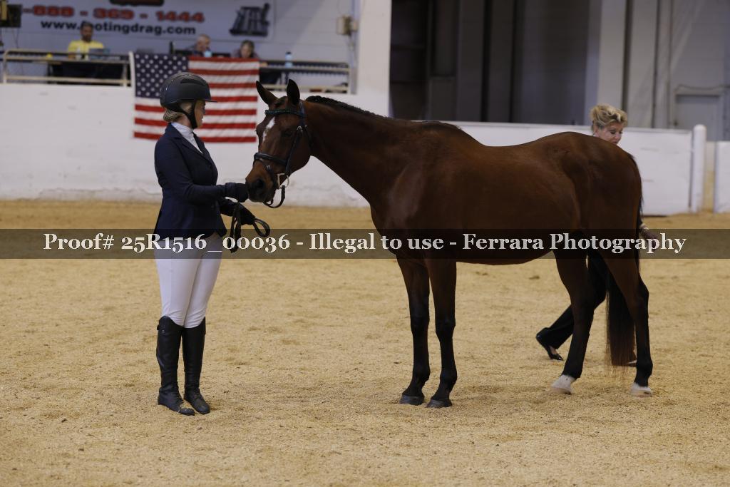 Proof Number 25R1516_00036