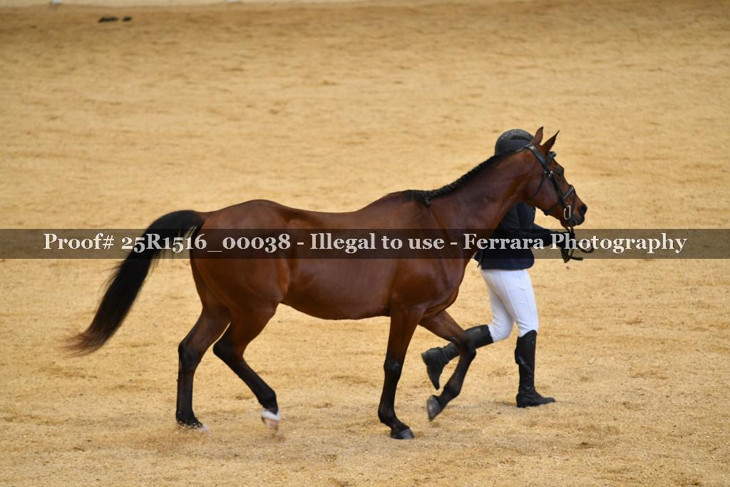 Proof Number 25R1516_00038