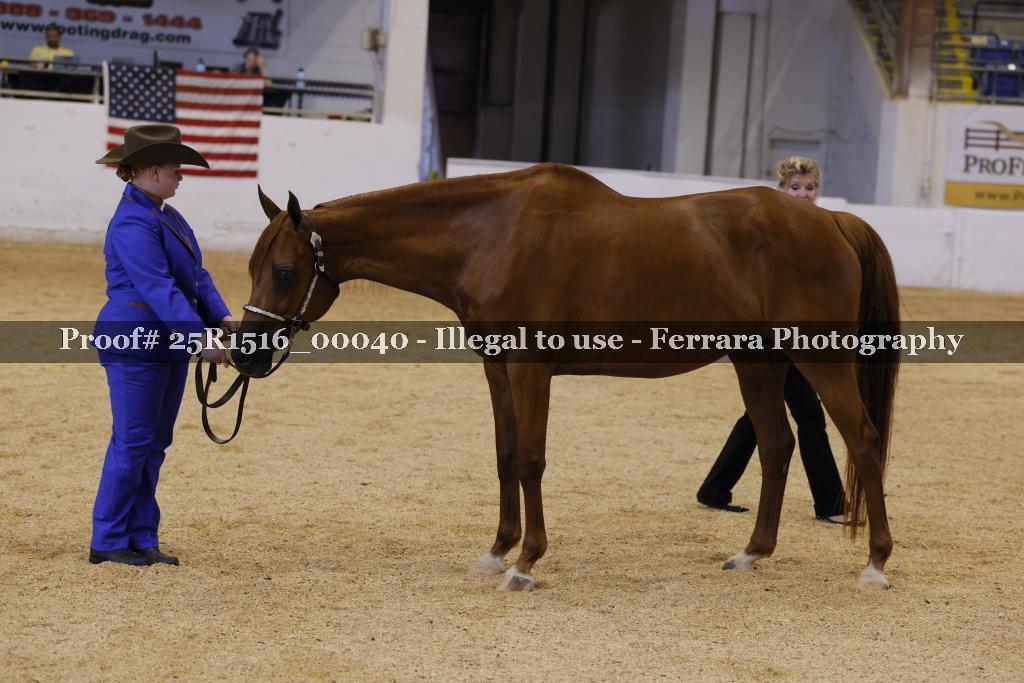 Proof Number 25R1516_00040
