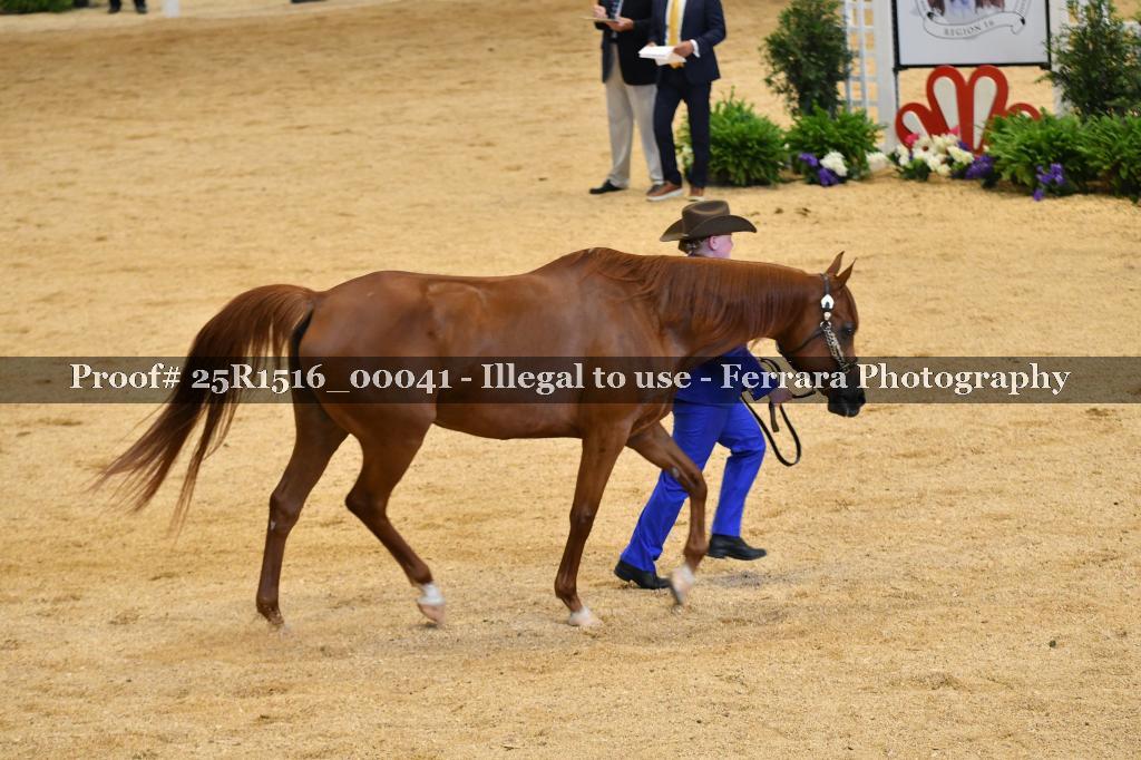 Proof Number 25R1516_00041