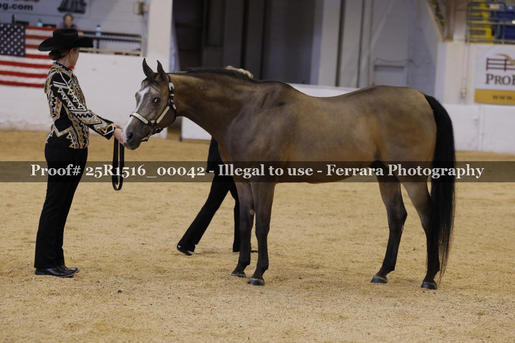 Proof Number 25R1516_00042