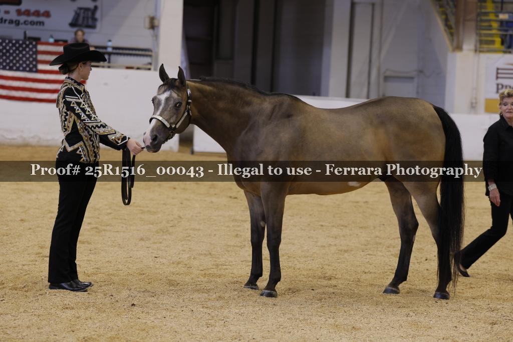 Proof Number 25R1516_00043
