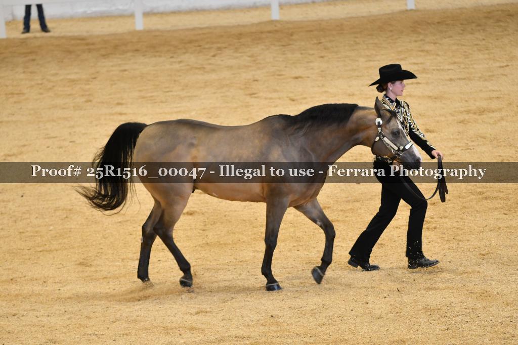 Proof Number 25R1516_00047