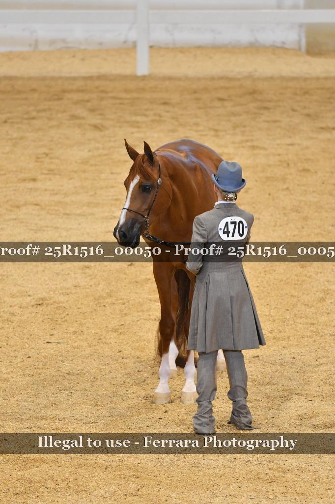 Proof Number 25R1516_00050