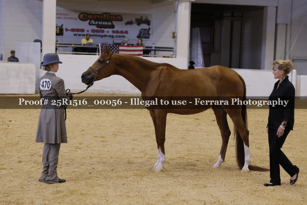 Proof Number 25R1516_00056