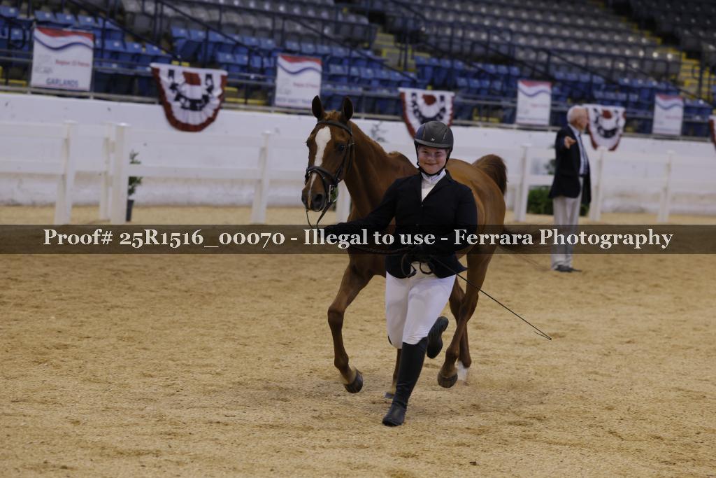 Proof Number 25R1516_00070