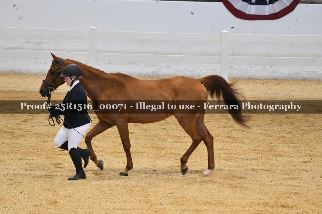 Proof Number 25R1516_00071