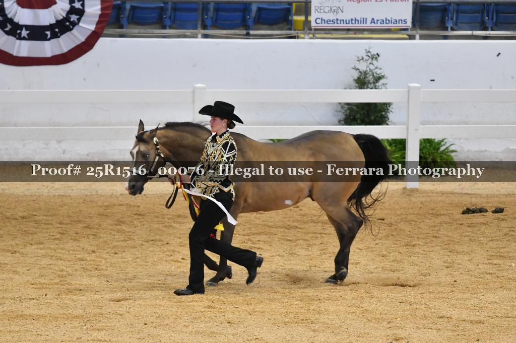 Proof Number 25R1516_00076