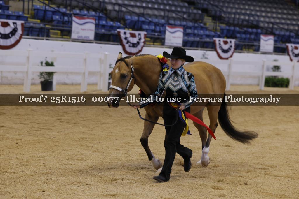 Proof Number 25R1516_00077