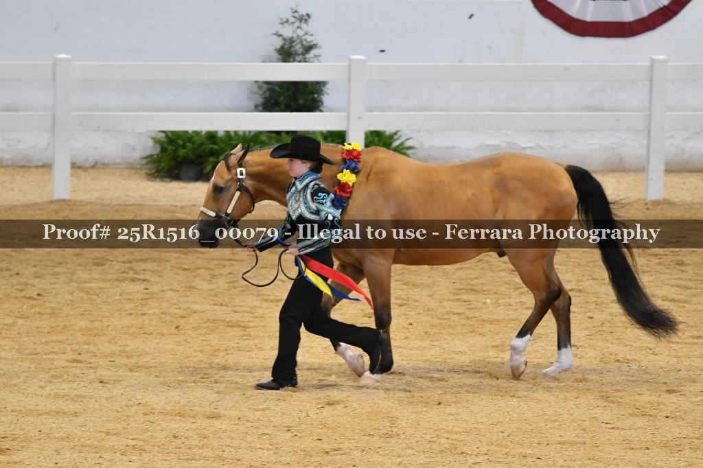 Proof Number 25R1516_00079