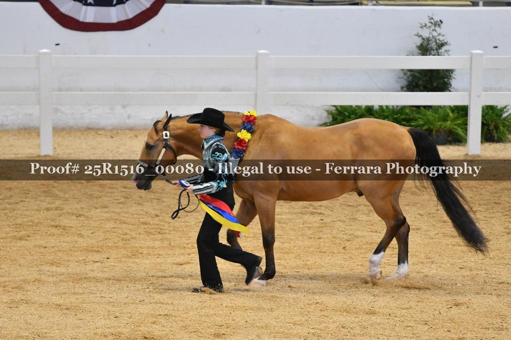 Proof Number 25R1516_00080
