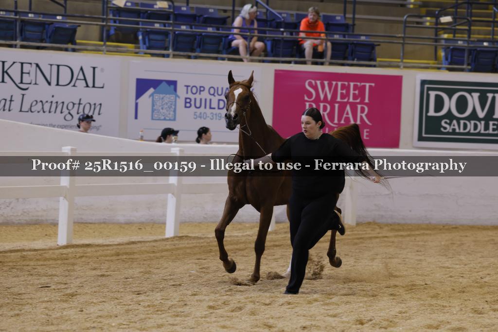 Proof Number 25R1516_00159