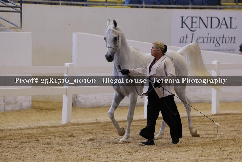 Proof Number 25R1516_00160