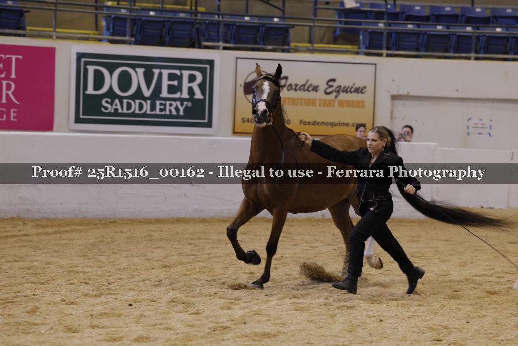 Proof Number 25R1516_00162