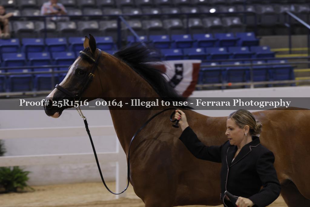 Proof Number 25R1516_00164