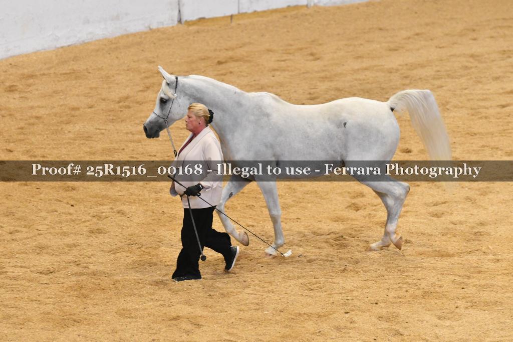 Proof Number 25R1516_00168