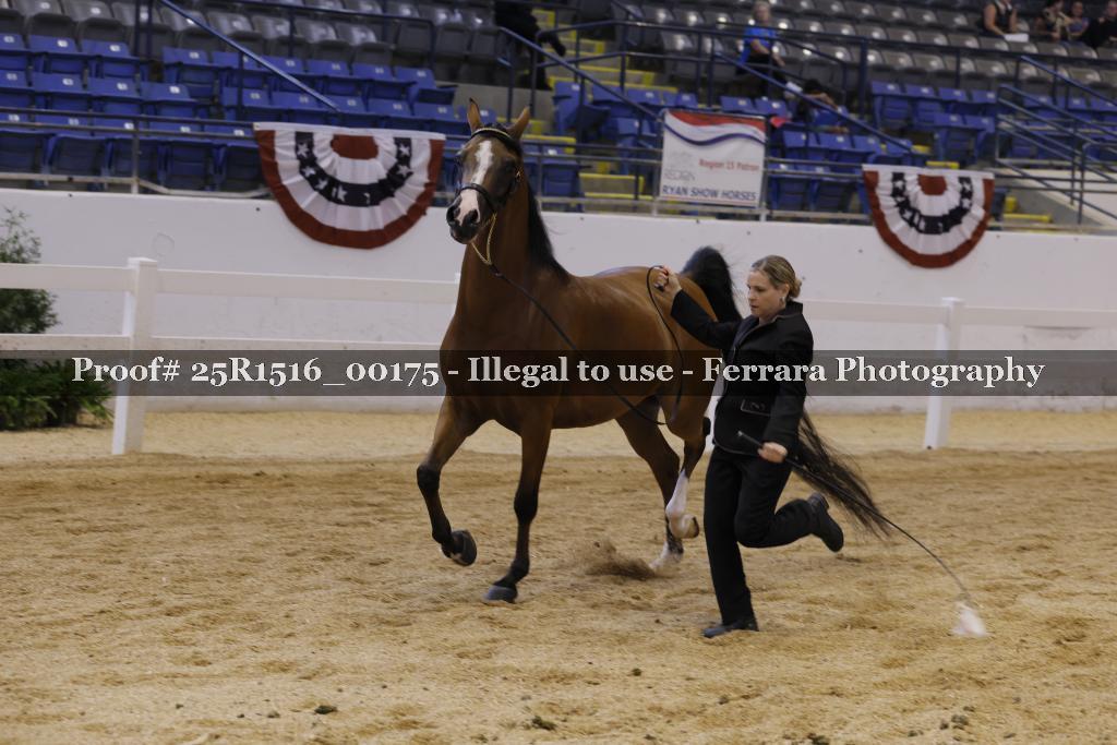 Proof Number 25R1516_00175