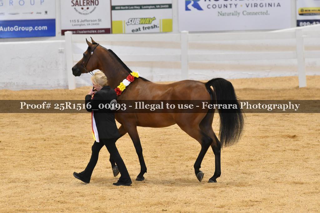 Proof Number 25R1516_00193
