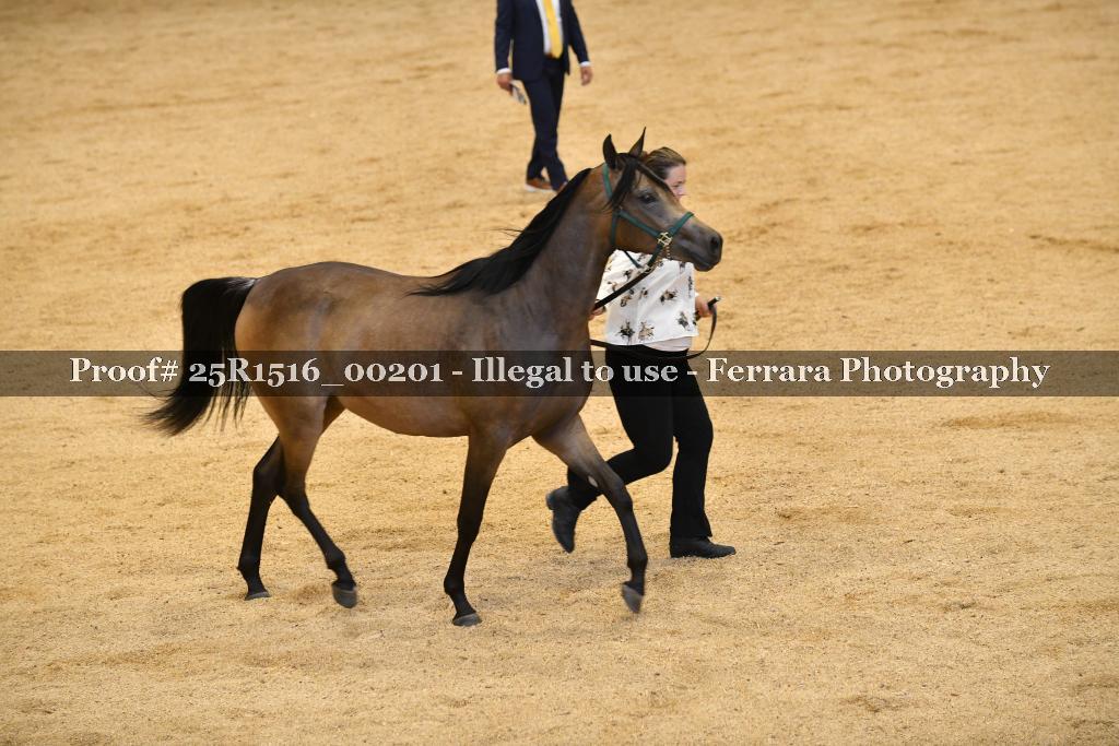 Proof Number 25R1516_00201