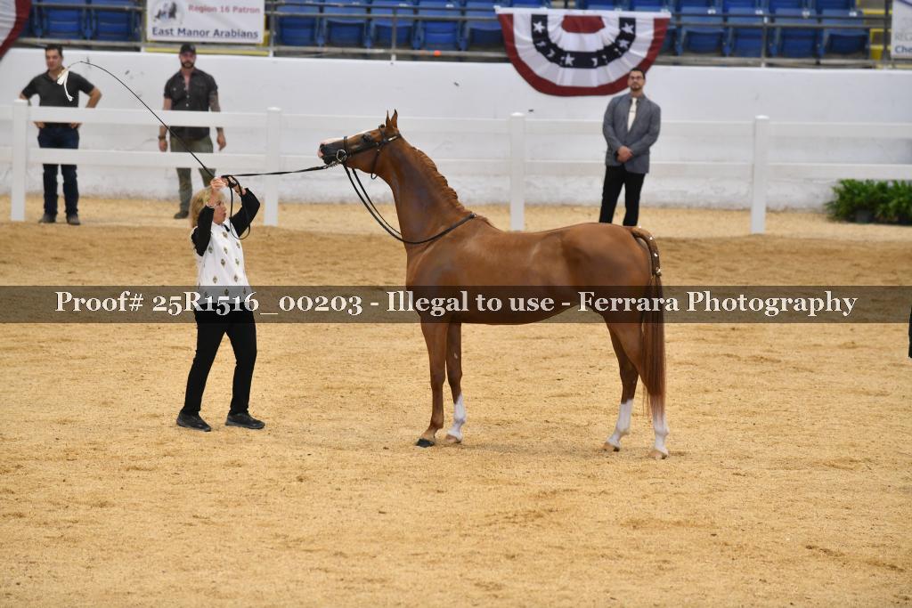 Proof Number 25R1516_00203