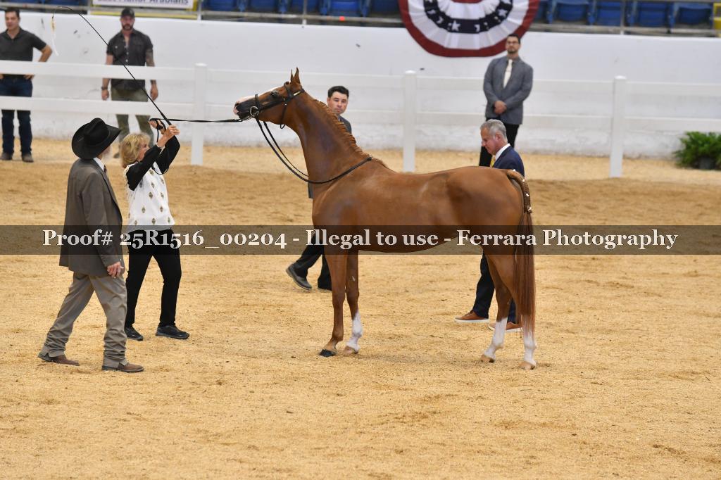 Proof Number 25R1516_00204