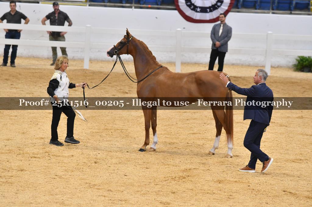 Proof Number 25R1516_00205