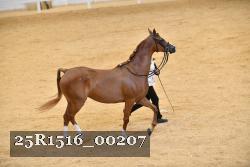 25R1516_00207 thumbnail