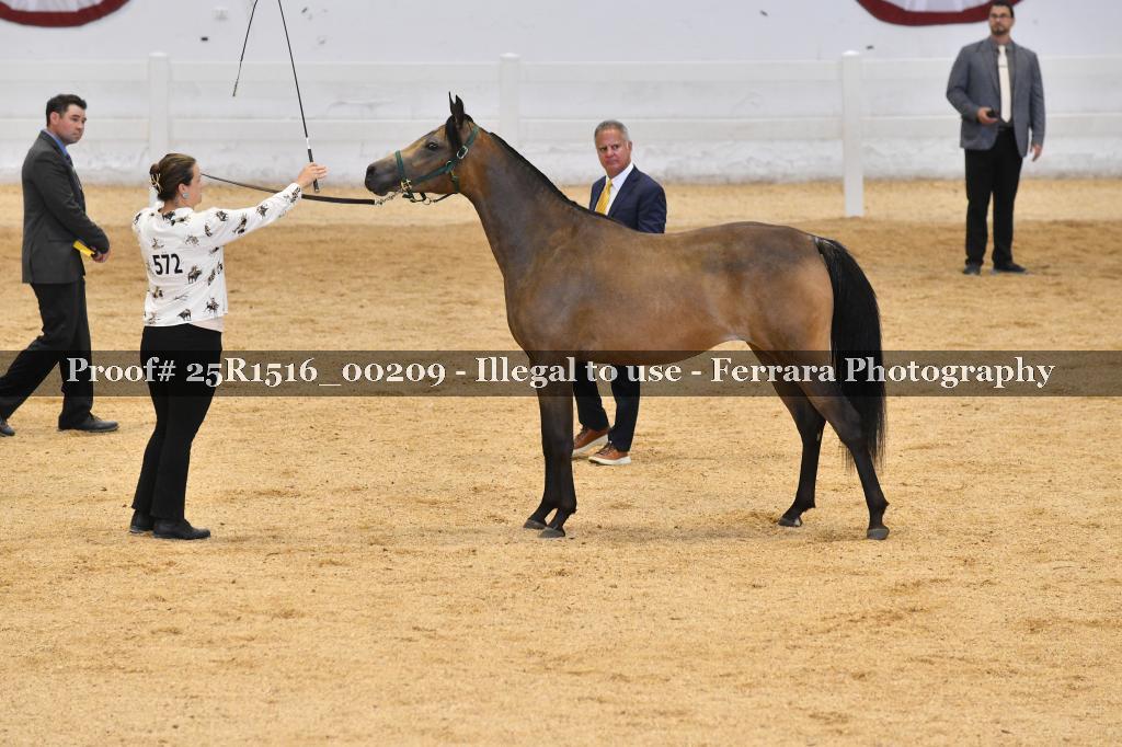 Proof Number 25R1516_00209