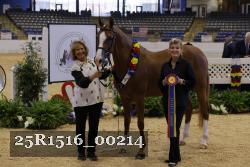 25R1516_00214 thumbnail