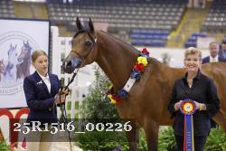 25R1516_00226 thumbnail