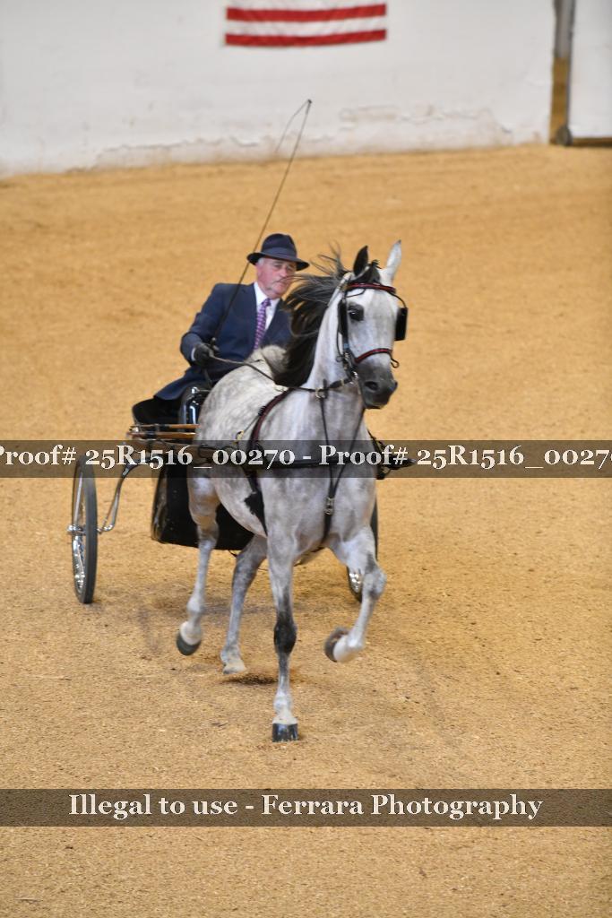 Proof Number 25R1516_00270