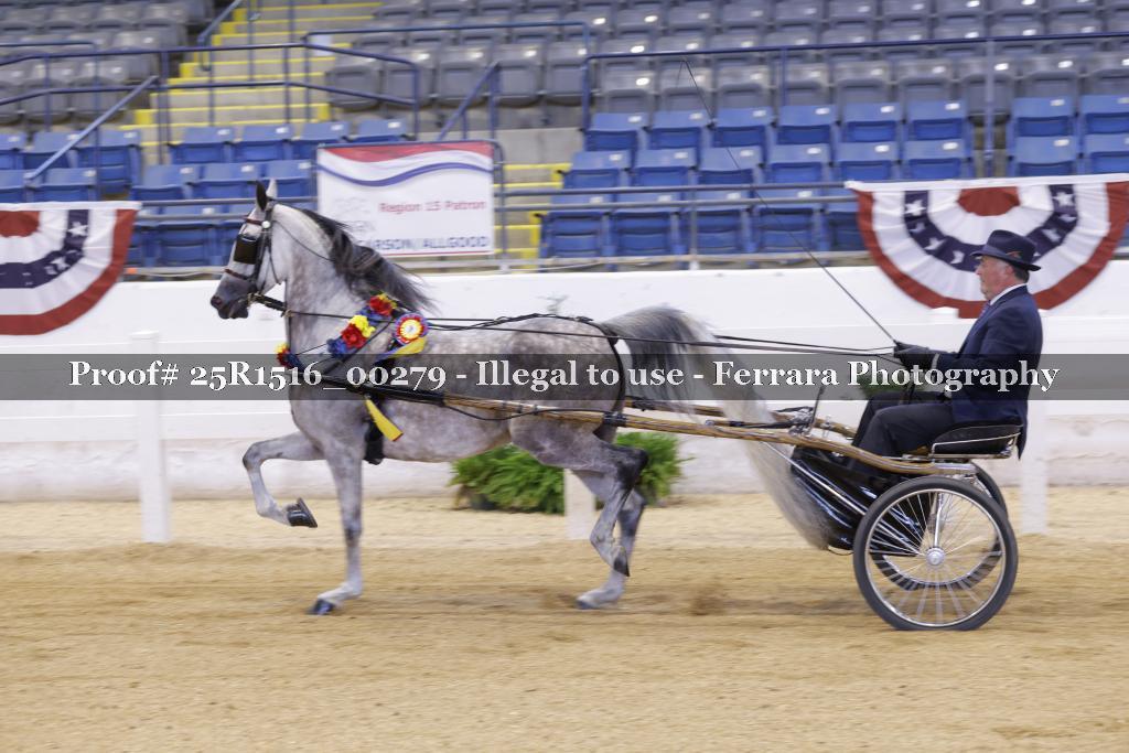 Proof Number 25R1516_00279