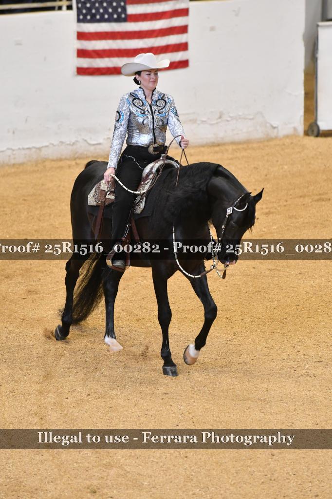 Proof Number 25R1516_00282
