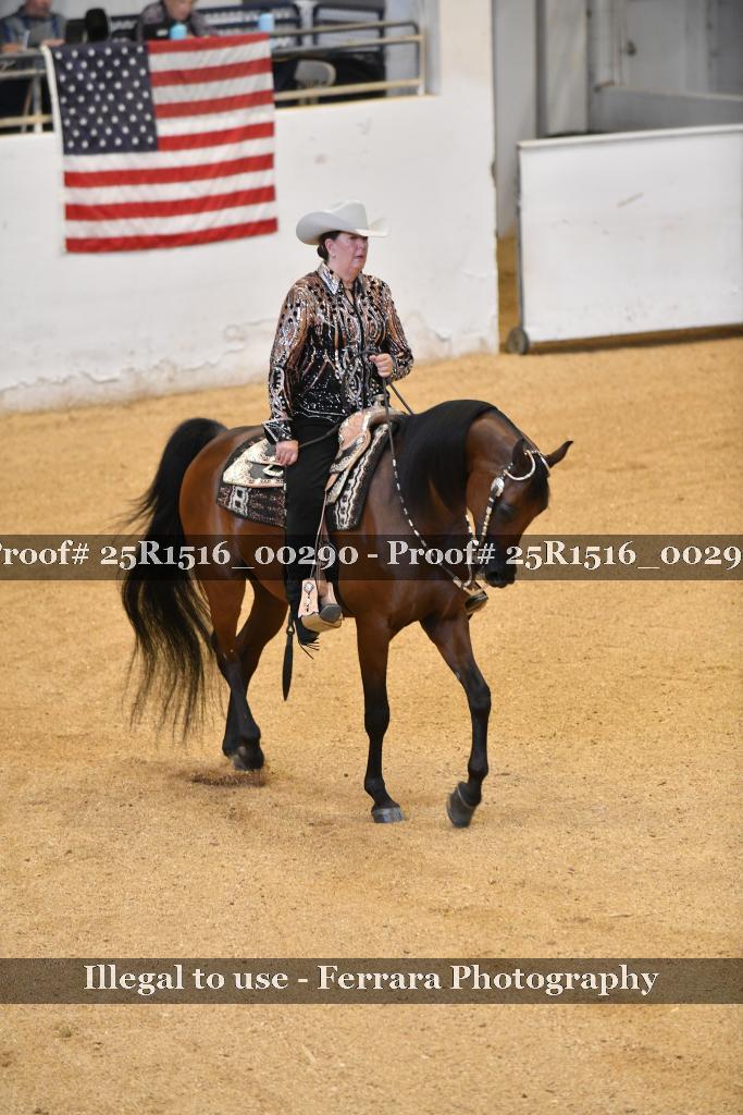 Proof Number 25R1516_00290